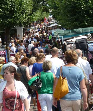 Batenburgse Dag 28 juli 2013